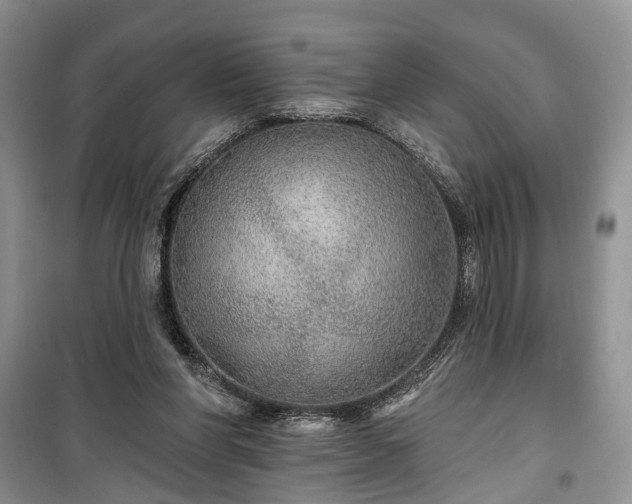 X0000100360206200806131022