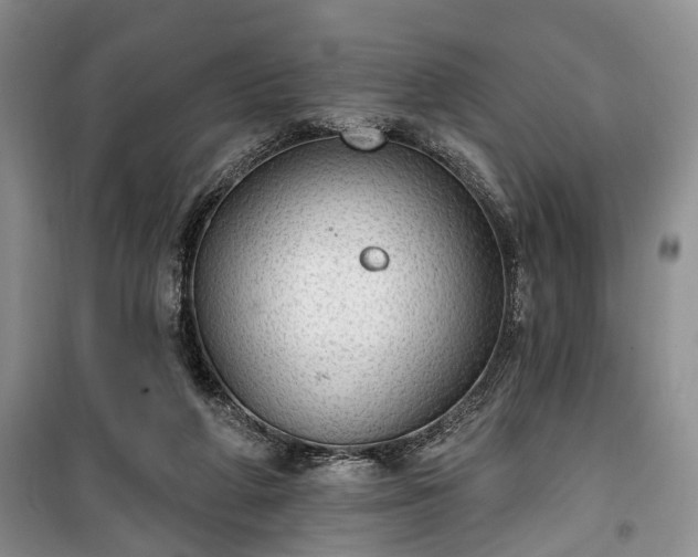 X0000100360210200806131022