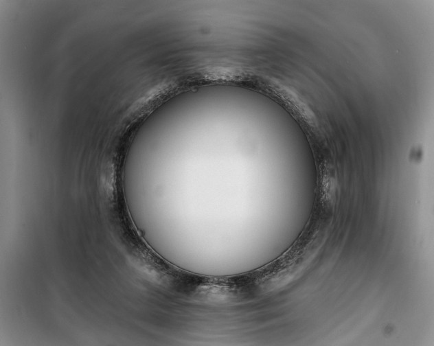 X0000100360211200806131022