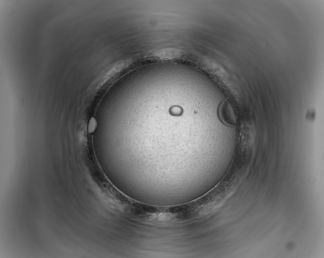 X0000100360212200806131022