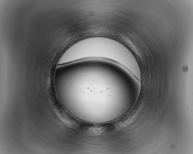 X0000100360213200806131022