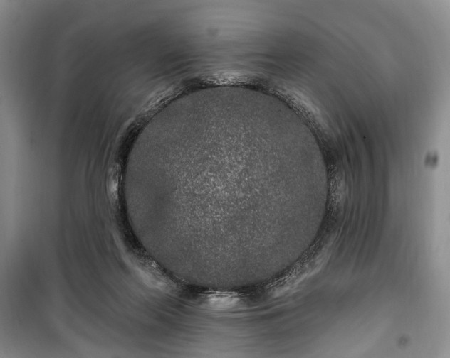 X0000100360214200806131022