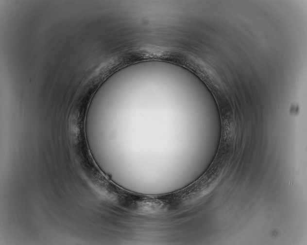 X0000100360215200806131022