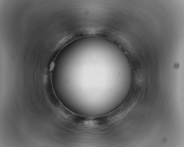 X0000100360216200806131022