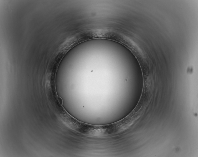 X0000100360217200806131022