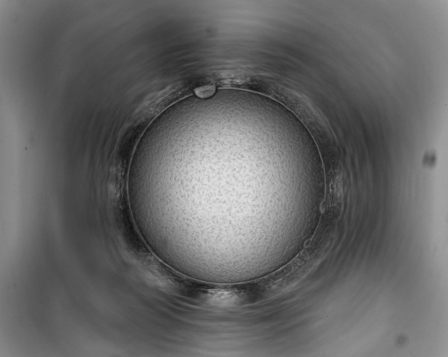 X0000100360218200806131022