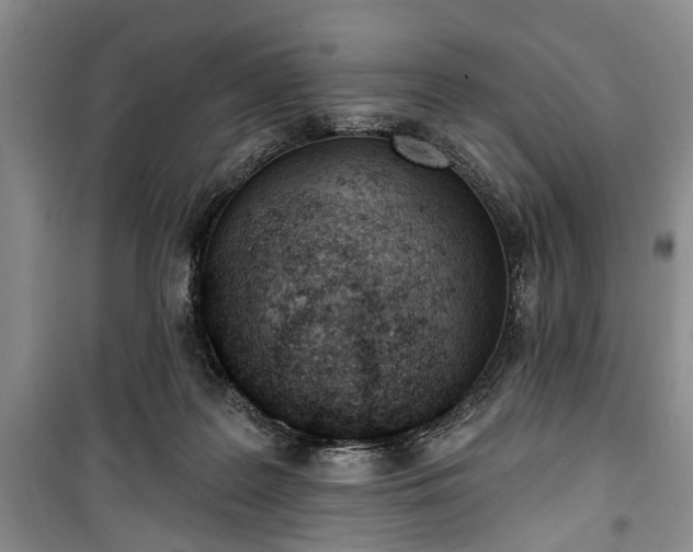 X0000100360219200806131022