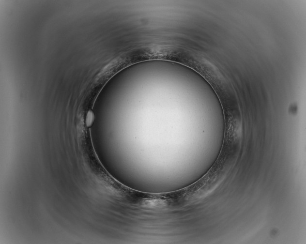 X0000100360220200806131022