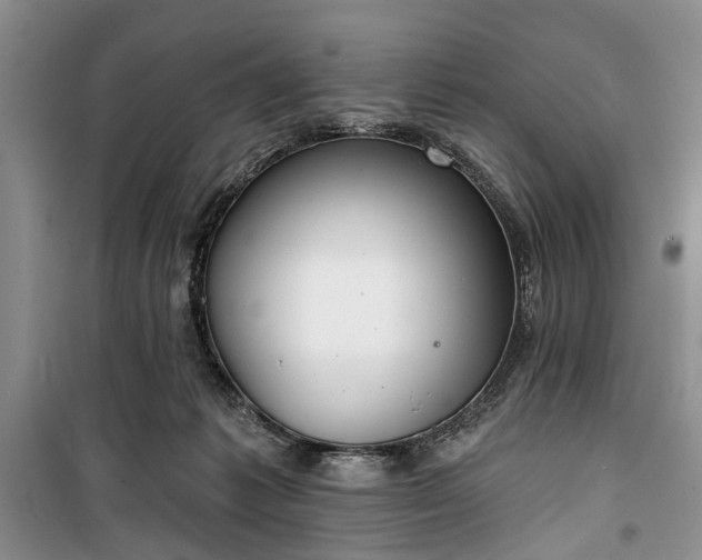 X0000100360221200806131022