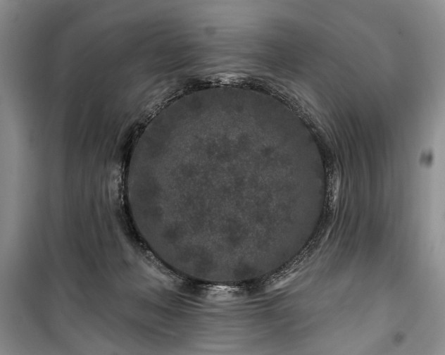 X0000100360222200806131022