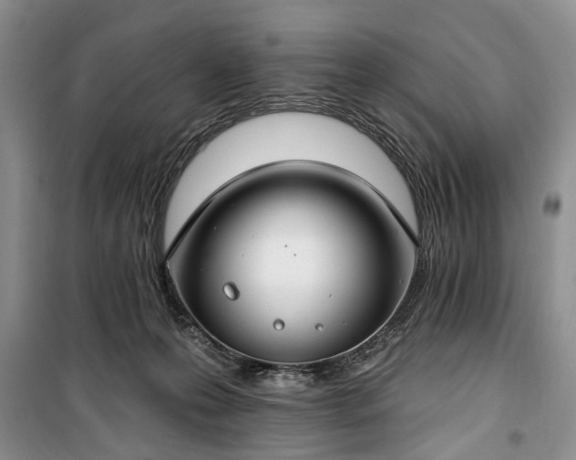 X0000100360223200806131022