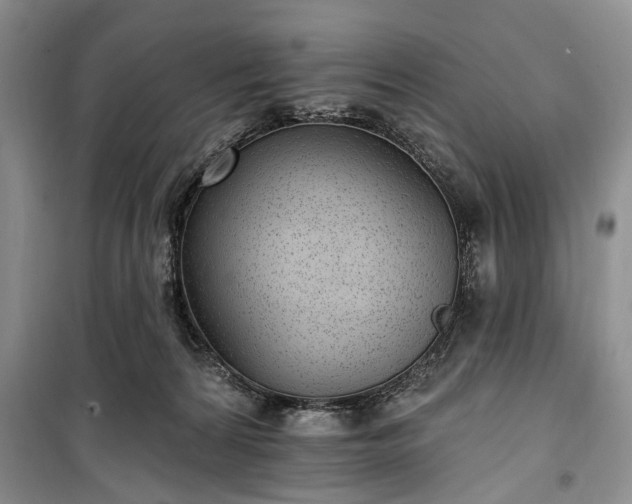 X0000100360224200806131022