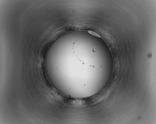 X0000100360225200806131022