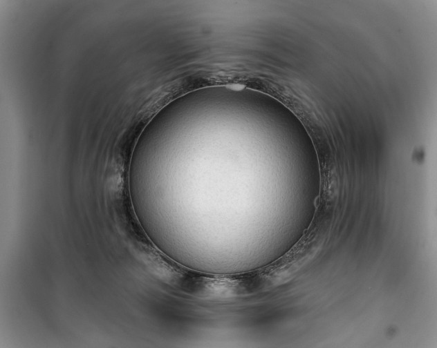 X0000100360226200806131022