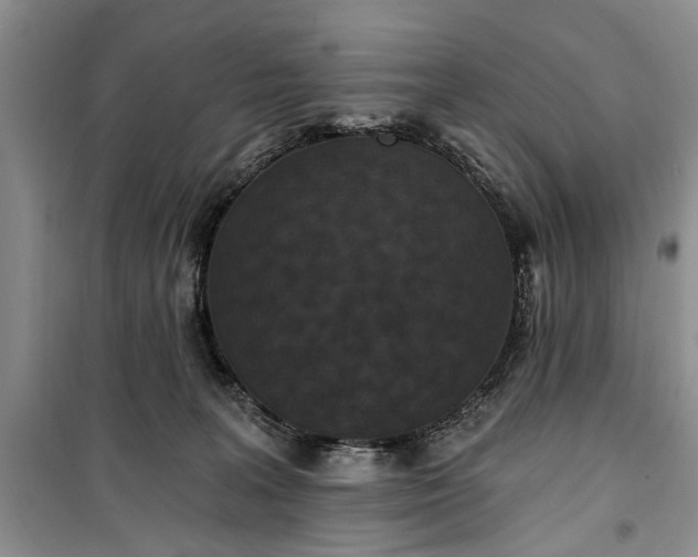 X0000100360227200806131022