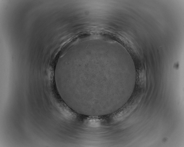 X0000100360228200806131022