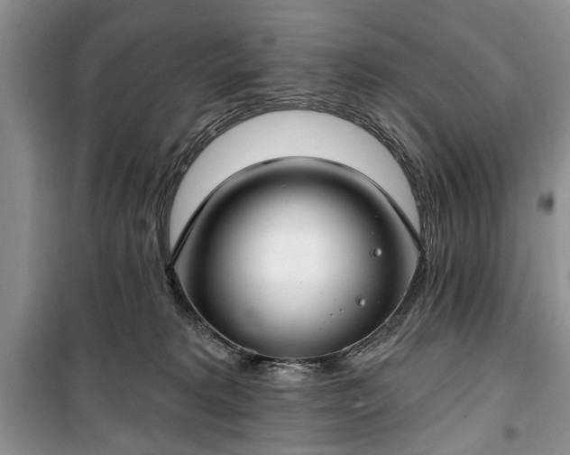 X0000100360229200806131022