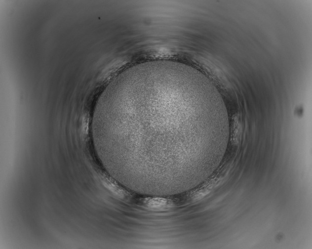 X0000100360230200806131022