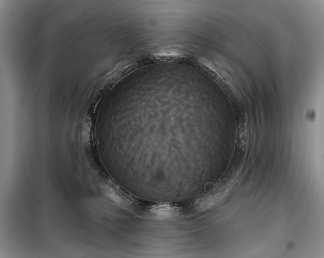 X0000100360231200806131022