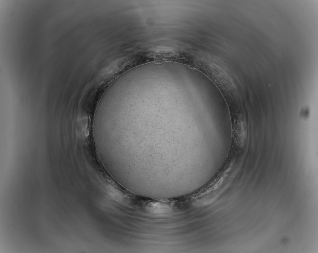 X0000100360232200806131022