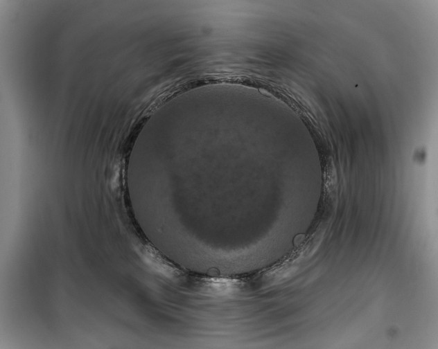 X0000100360233200806131022