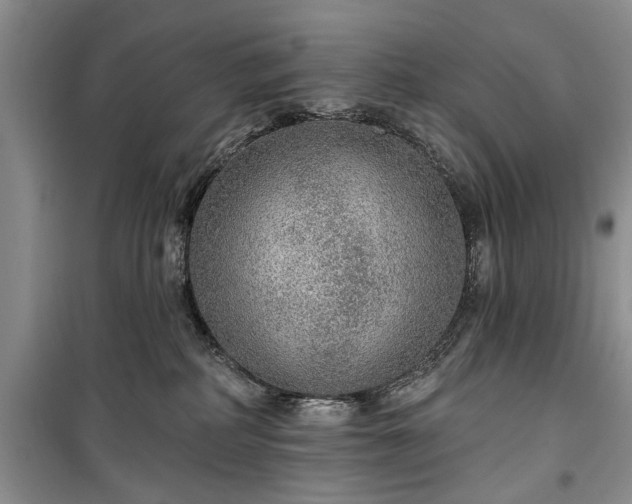 X0000100360234200806131022