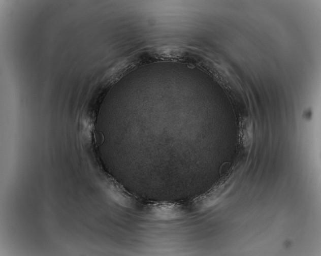 X0000100360235200806131022