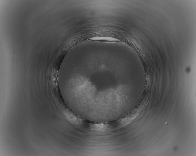 X0000100360237200806131022