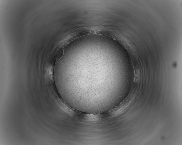 X0000100360238200806131022