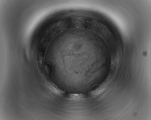 X0000100360239200806131022