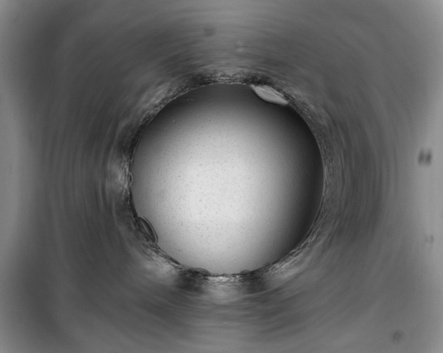 X0000100360240200806131022