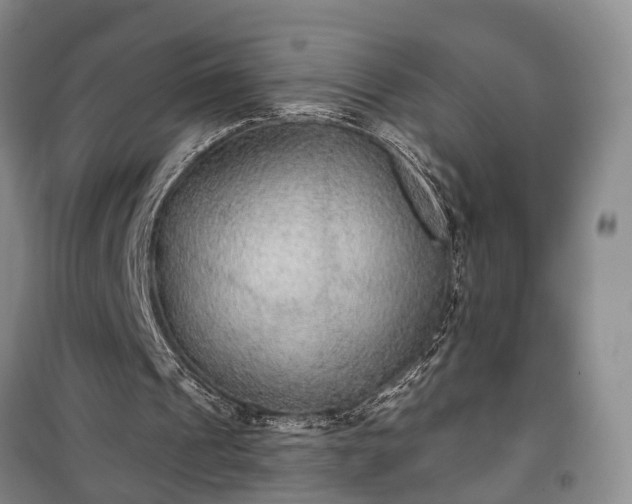 X0000100360241200806131021