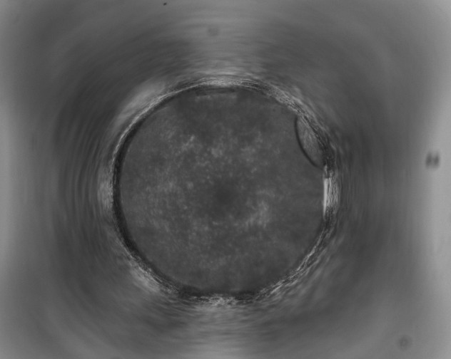 X0000100360243200806131021