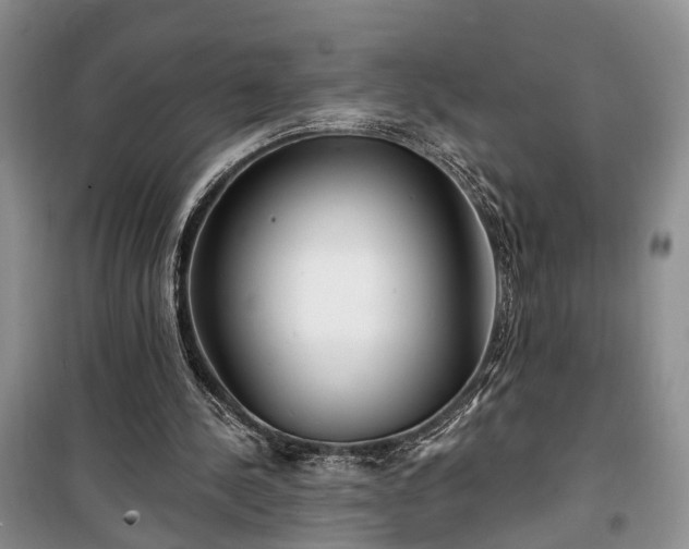 X0000100360244200806131021