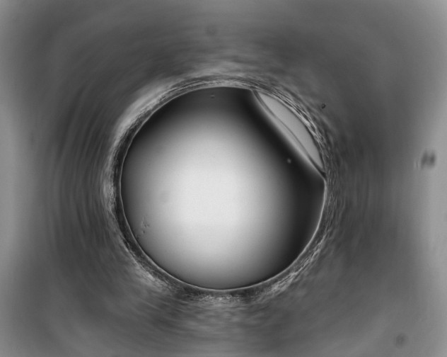 X0000100360245200806131021