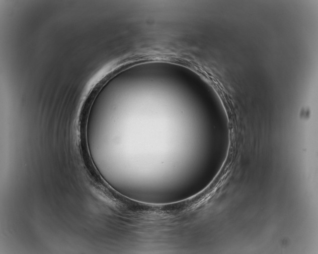 X0000100360246200806131021