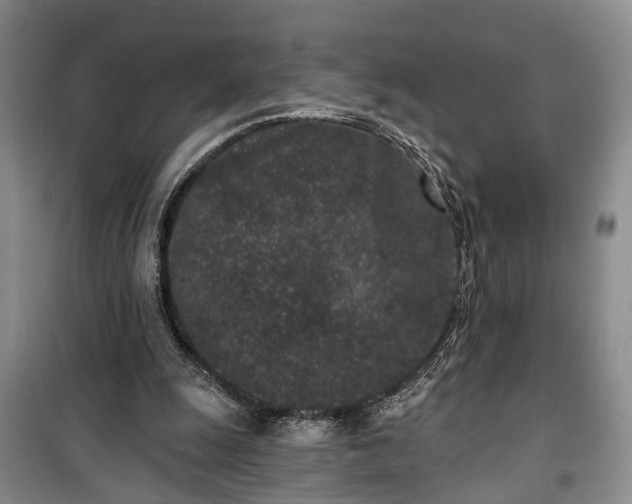 X0000100360247200806131021