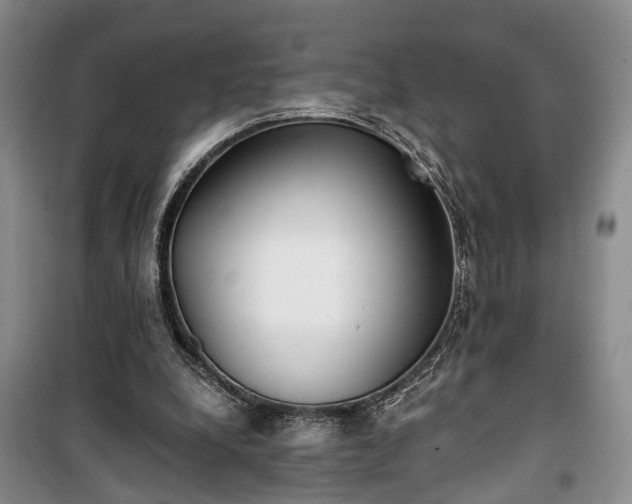 X0000100360248200806131021