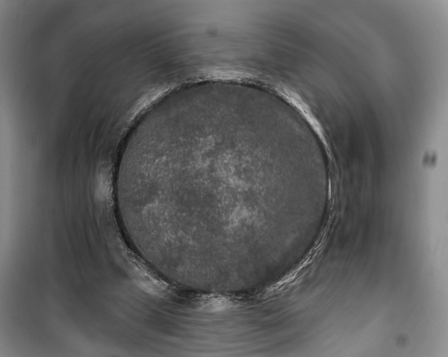 X0000100360249200806131021