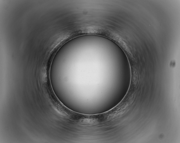 X0000100360251200806131021