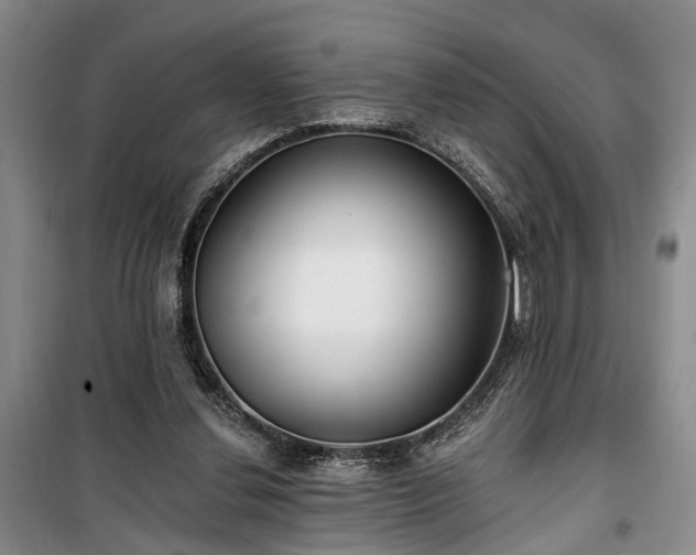 X0000100360252200806131021