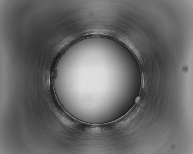 X0000100360253200806131021