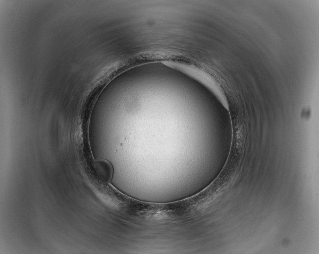 X0000100360254200806131021