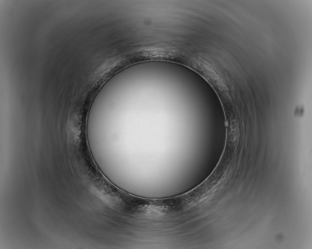 X0000100360255200806131021