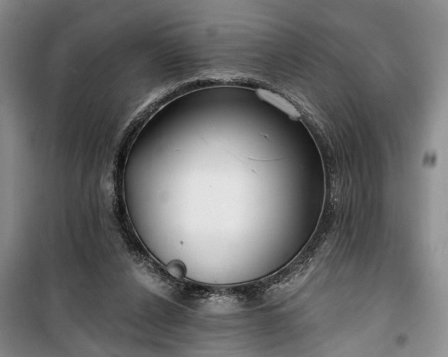 X0000100360256200806131021