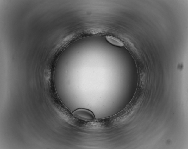 X0000100360260200806131021