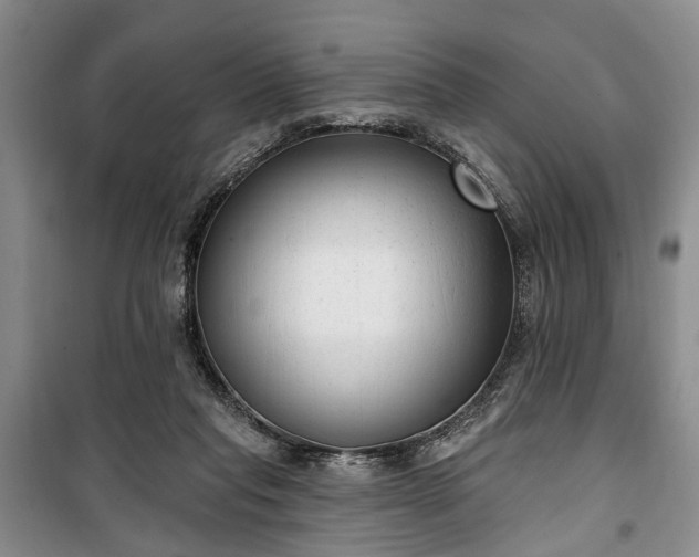 X0000100360261200806131021