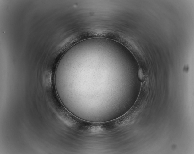 X0000100360262200806131021