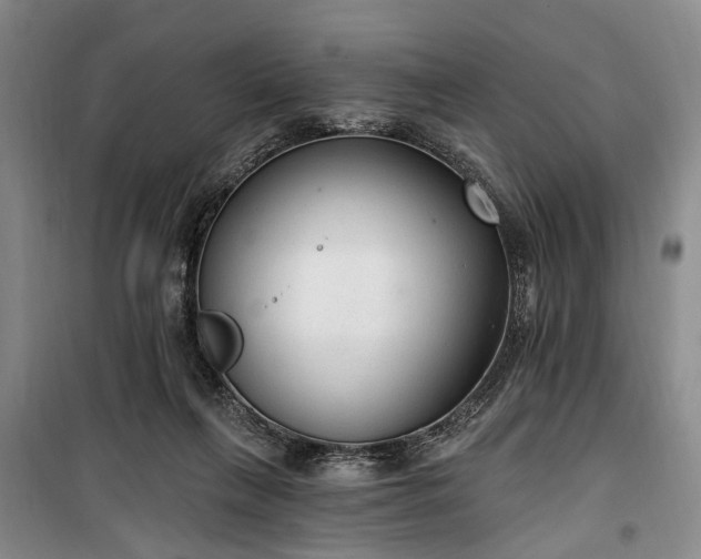 X0000100360263200806131021