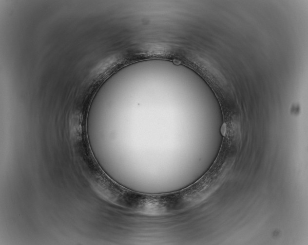 X0000100360264200806131021